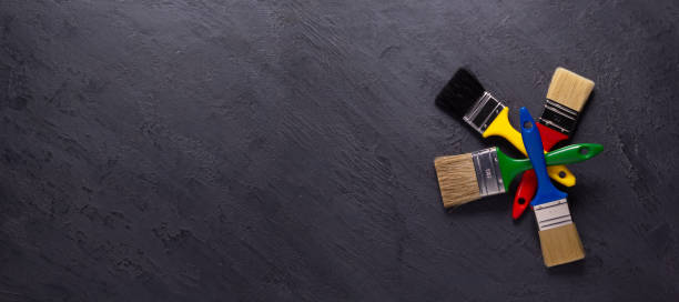 Best Mold Damage Restoration  in Port Barrington, IL