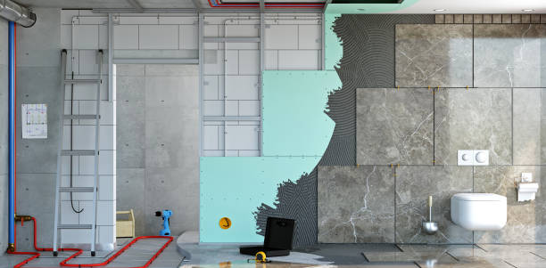 Best Attic Mold Removal  in Port Barrington, IL