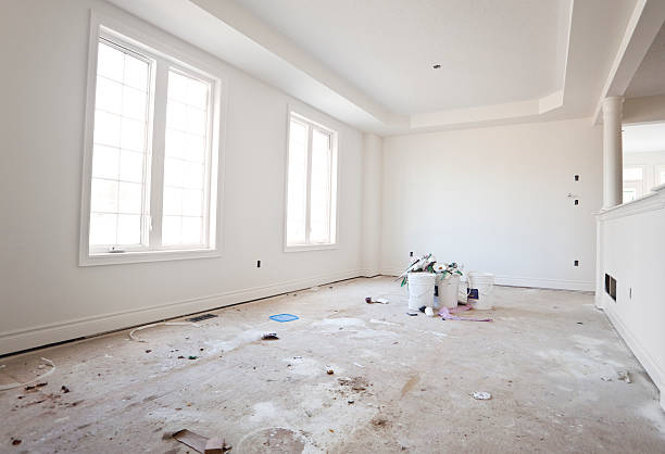 Best Emergency Mold Remediation  in Port Barrington, IL