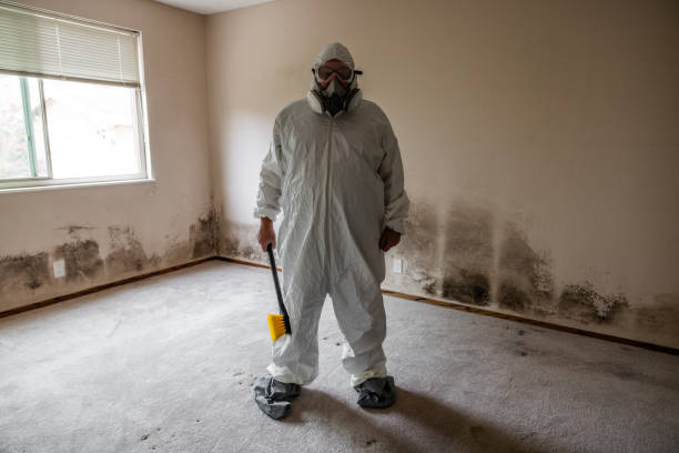 Best Crawl Space Mold Remediation  in Port Barrington, IL