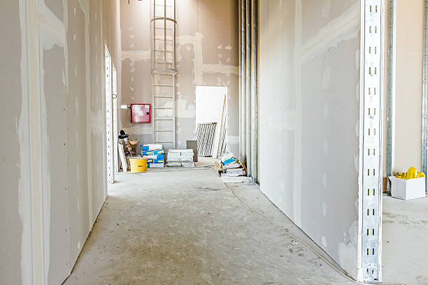  Port Barrington, IL Mold Removal Pros