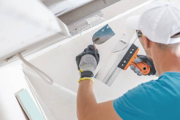 Best Residential Mold Inspection & Testing  in Port Barrington, IL